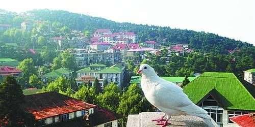 有著“云中山城”之稱的牯嶺鎮(zhèn)面臨著遷民下山。